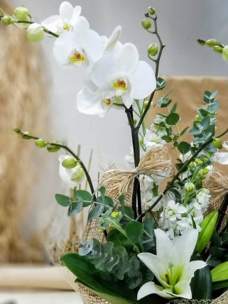 Beyaz Lilyum ve Orkide