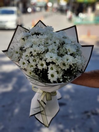 Papatyalar İnce ve Narin