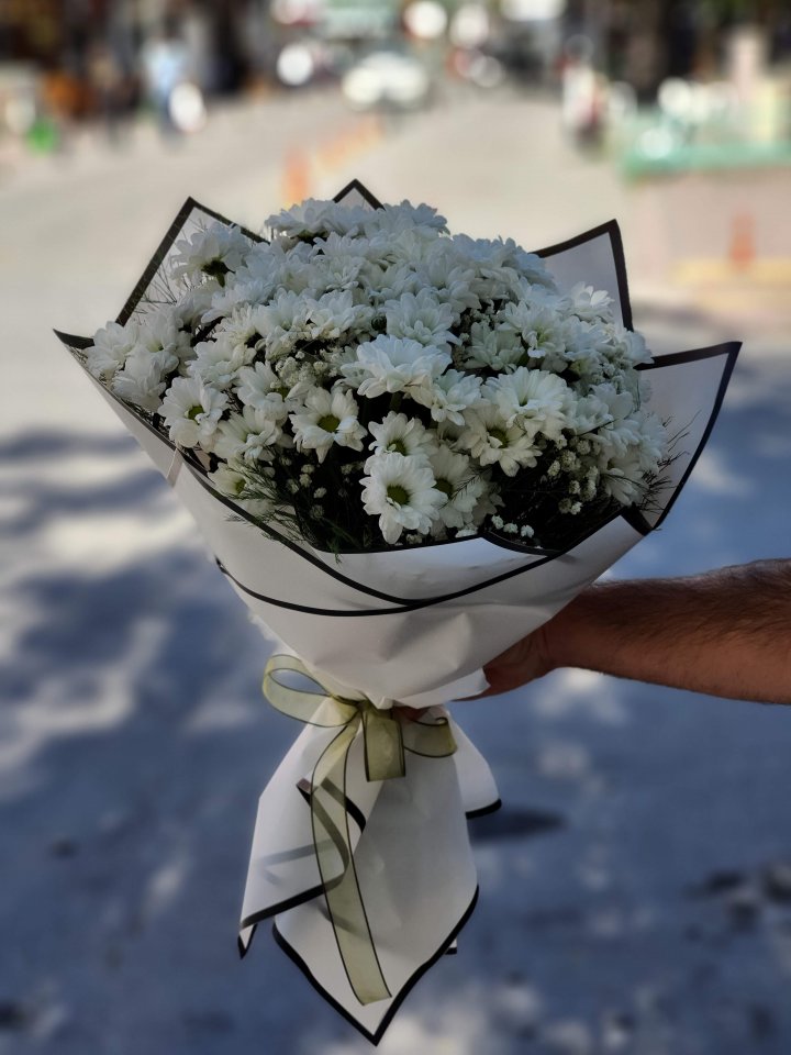 Papatyalar İnce ve Narin